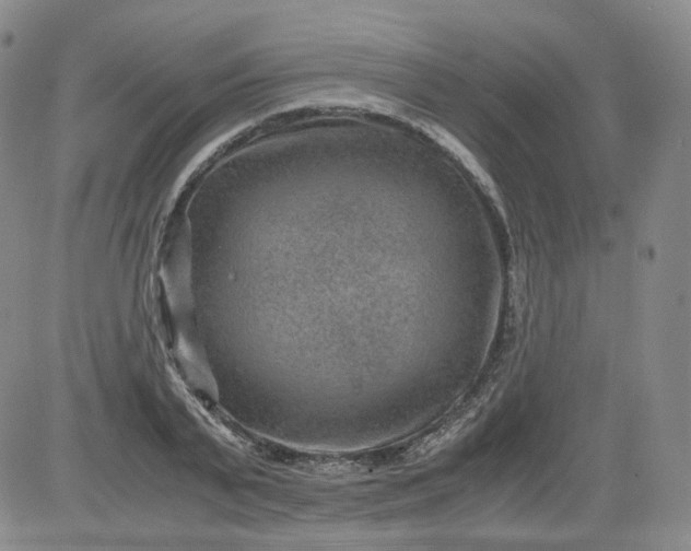 X0000084040791200703022147