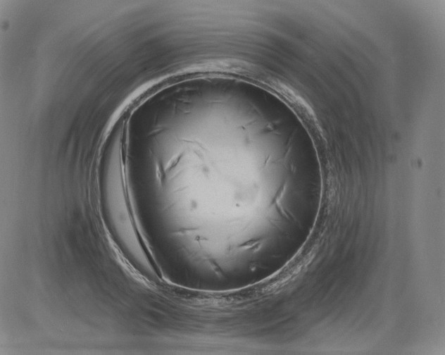 X0000084040792200703022147