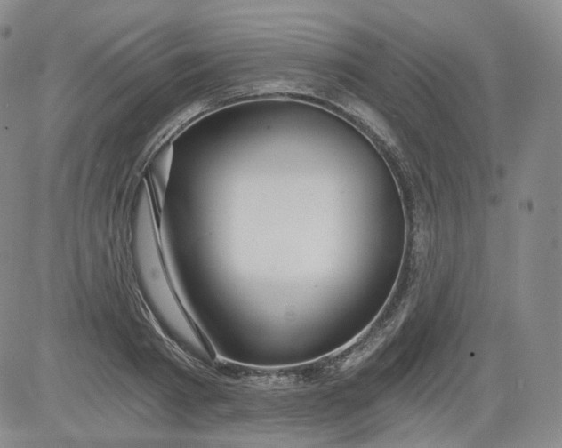 X0000084040793200703022147