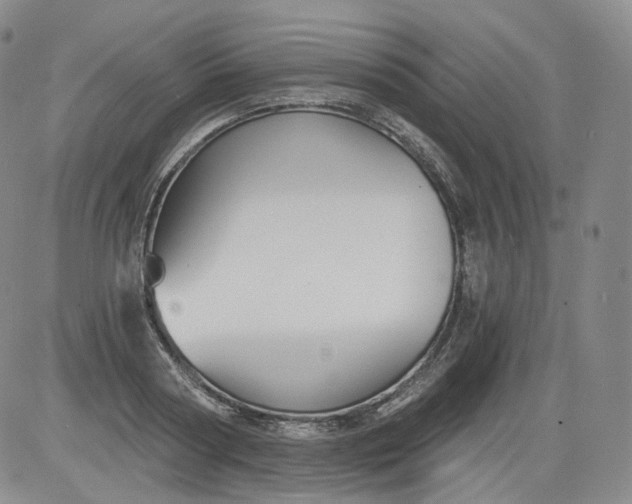 X0000084040794200703022147