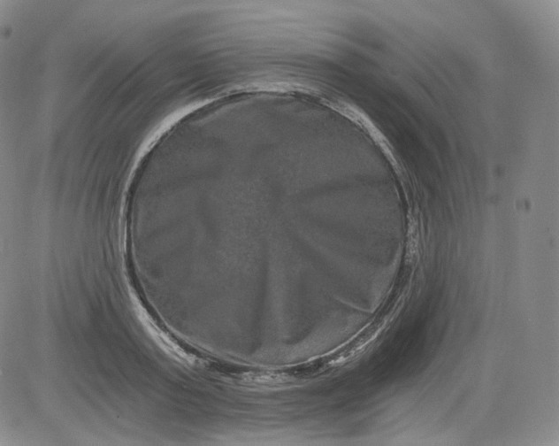 X0000084040795200703022147