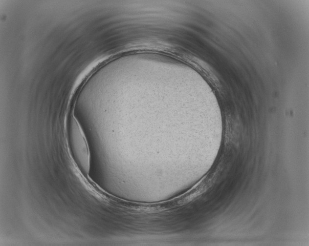 X0000084040796200703022147