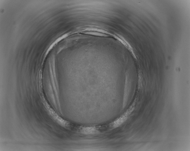 X0000084040798200703022147