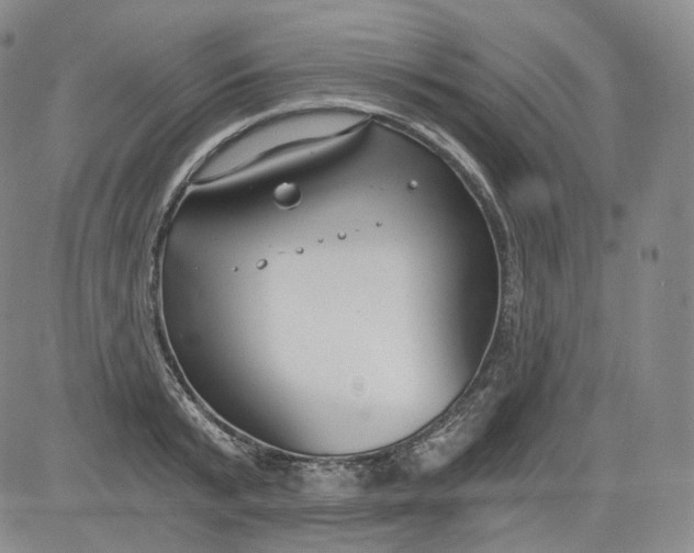 X0000084040799200703022147