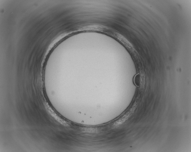 X0000084040800200703022147