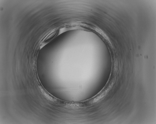 X0000084040801200703022147