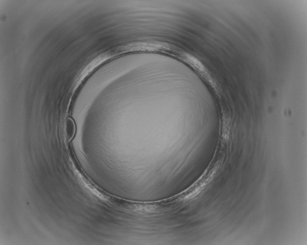 X0000084040802200703022147