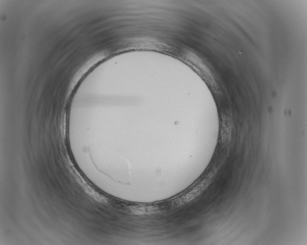 X0000084040804200703022147