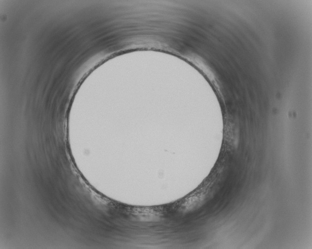 X0000084040807200703022147