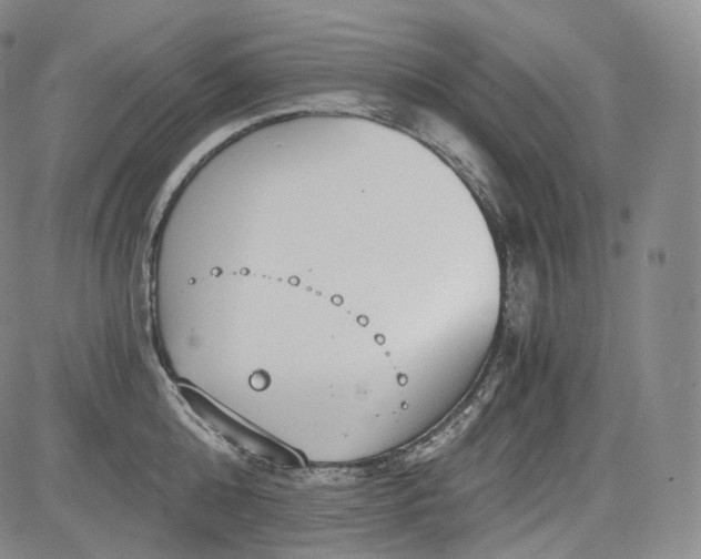 X0000084040808200703022147