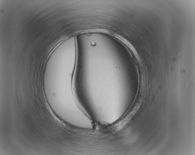 X0000084040809200703022147