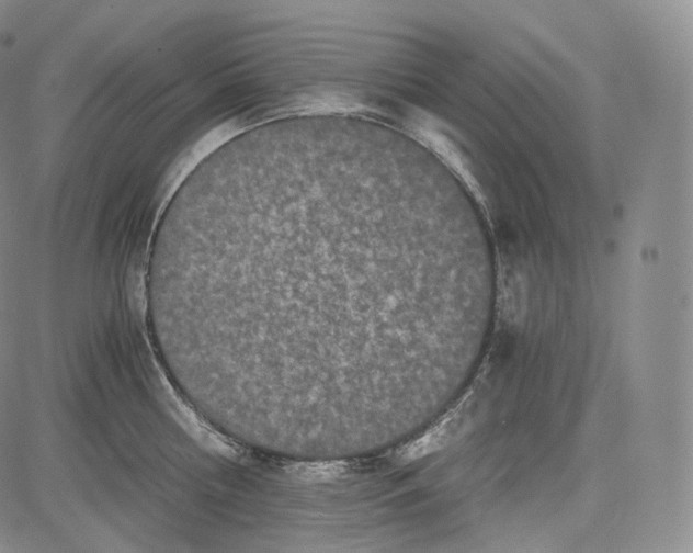 X0000084040810200703022147