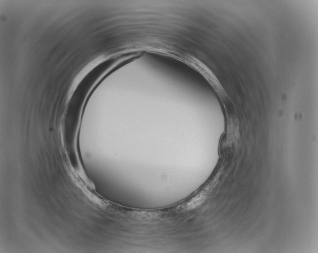 X0000084040812200703022147