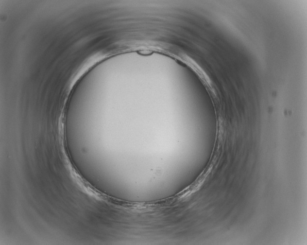 X0000084040814200703022147