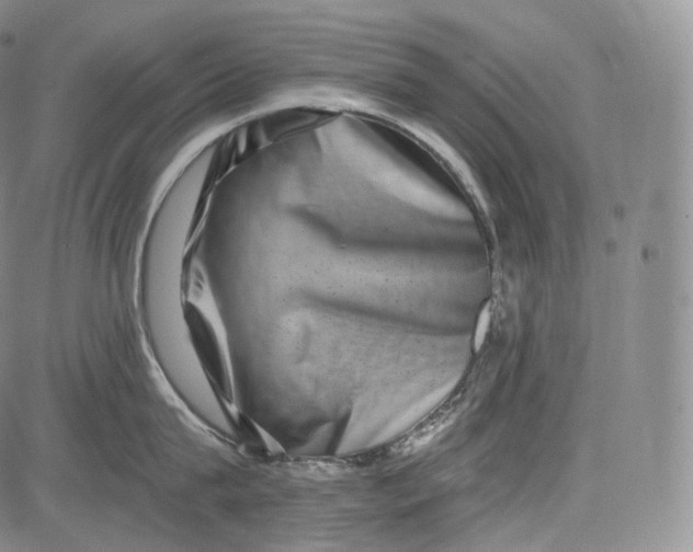 X0000084040815200703022147