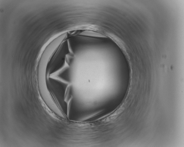 X0000084040816200703022147