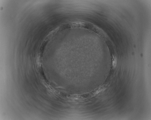 X0000084040819200703022146