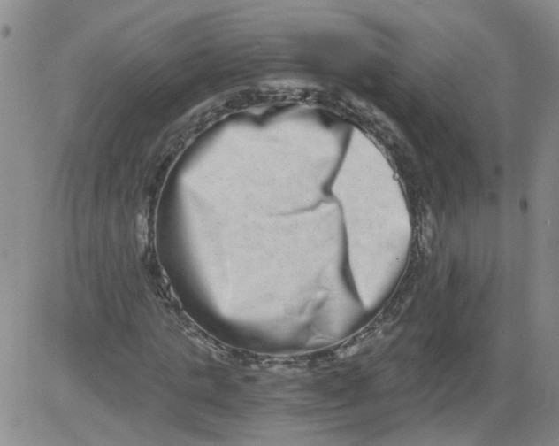 X0000084040821200703022146