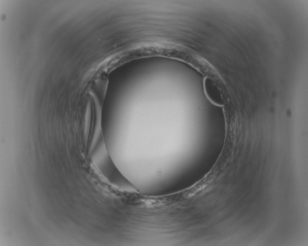 X0000084040822200703022146