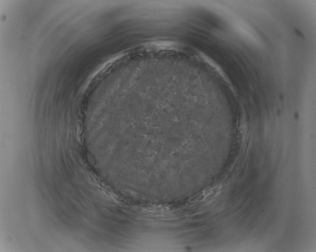 X0000084040823200703022146