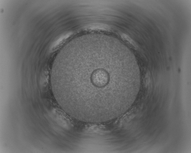 X0000084040824200703022146