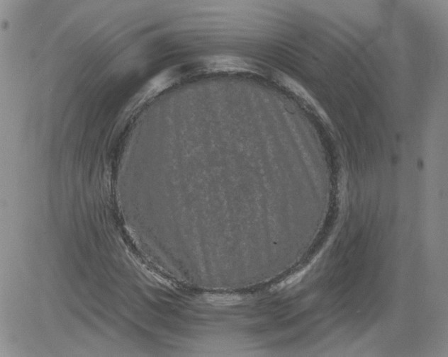 X0000084040825200703022146