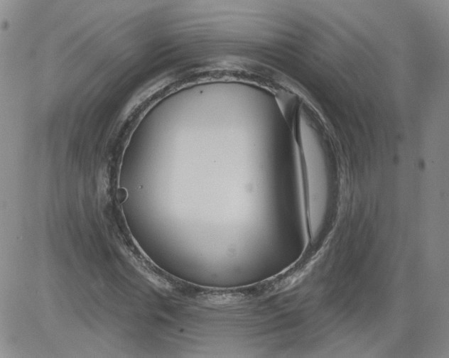 X0000084040826200703022146