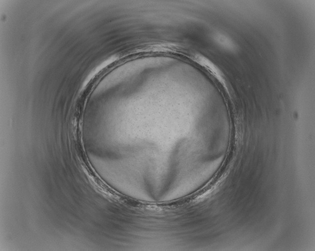 X0000084040827200703022146