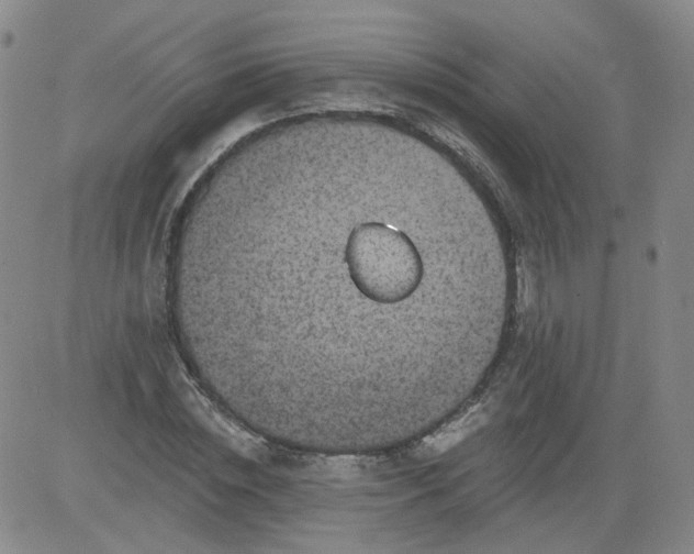 X0000084040828200703022146