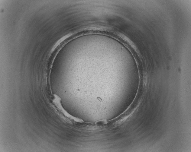 X0000084040829200703022146