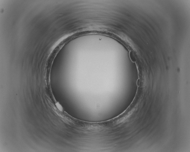 X0000084040830200703022146