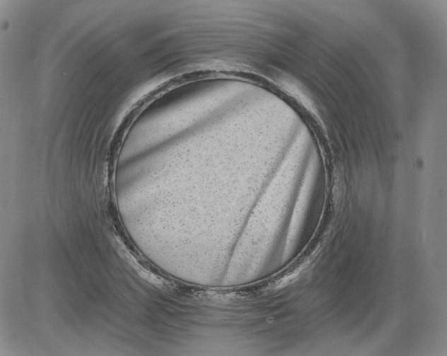 X0000084040831200703022146