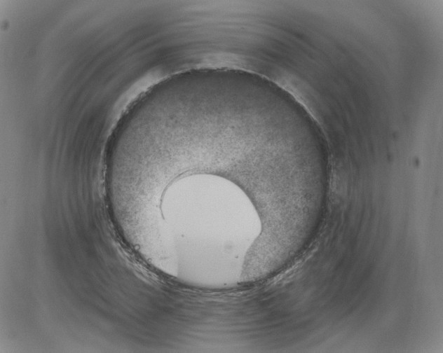 X0000084040832200703022146