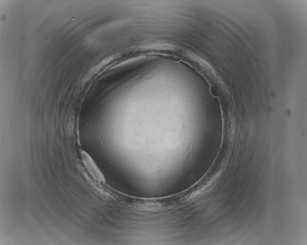 X0000084040833200703022147