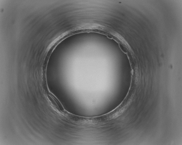 X0000084040834200703022147