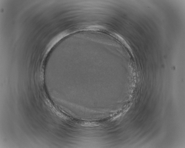 X0000084040835200703022147