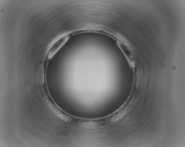 X0000084040838200703022147