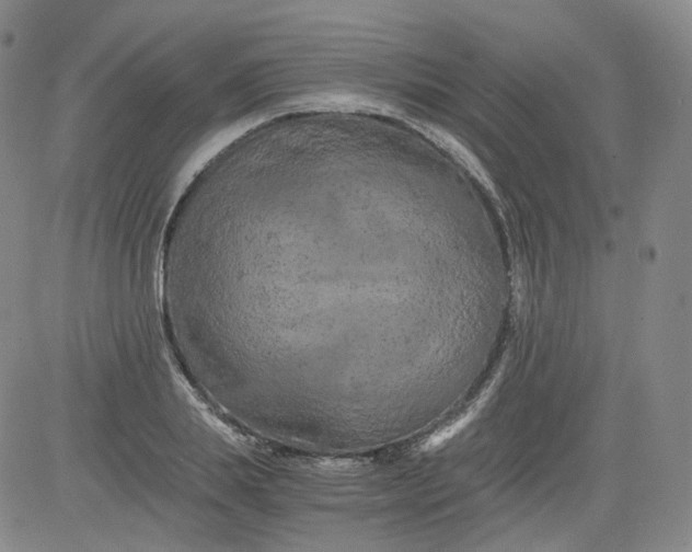 X0000084040839200703022147