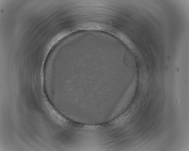 X0000084040840200703022147