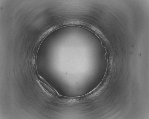 X0000084040841200703022147