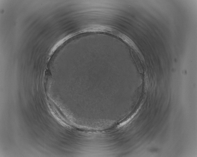 X0000084040842200703022147