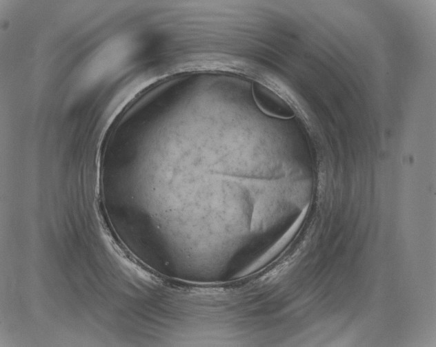 X0000084040844200703022147