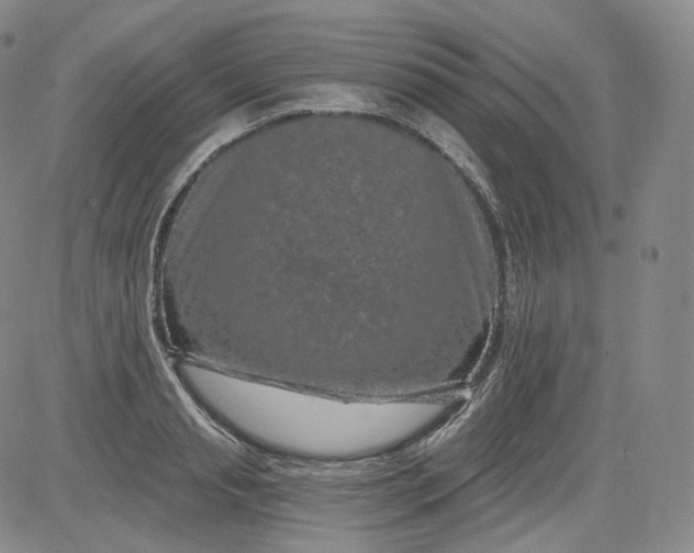 X0000084040845200703022147