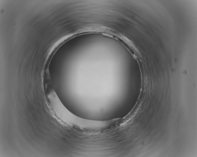 X0000084040846200703022147