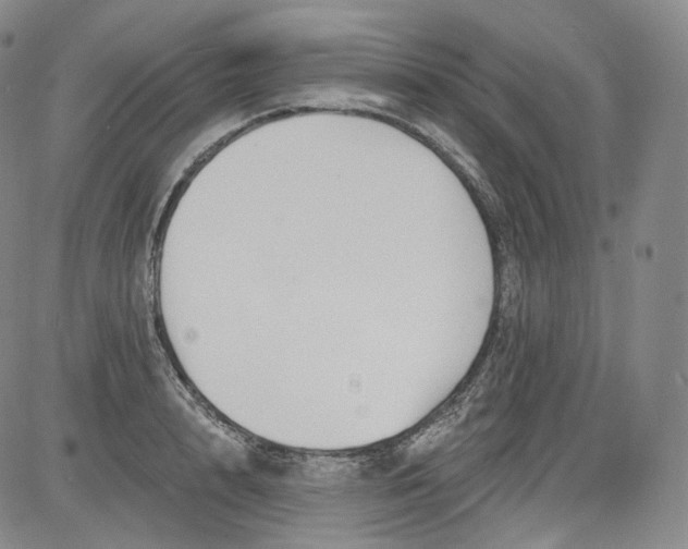 X0000084040848200703022147