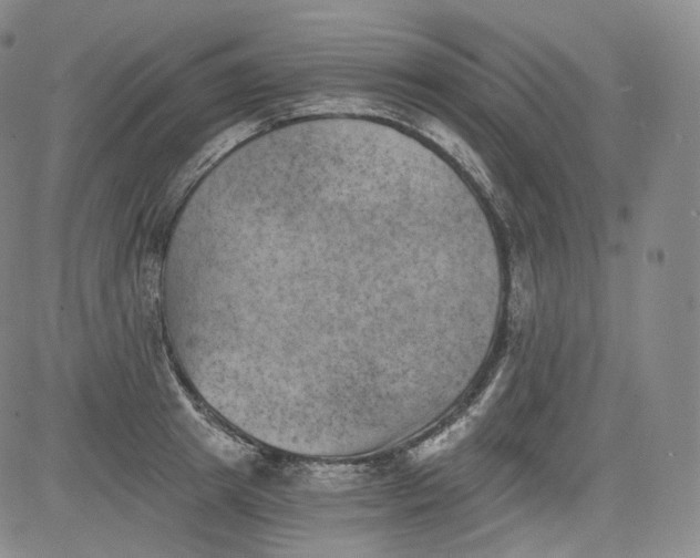 X0000084040849200703022147