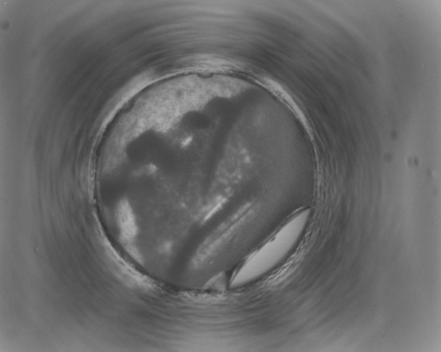 X0000084040851200703022147