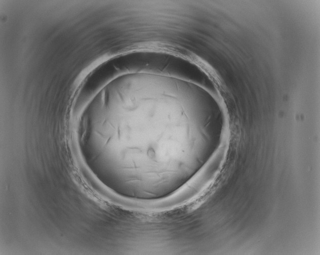 X0000084040854200703022147