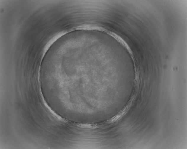 X0000084040855200703022147