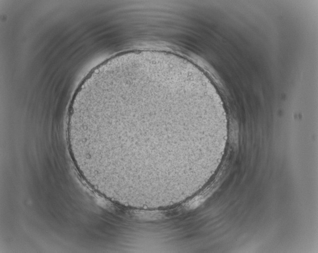 X0000084040856200703022147